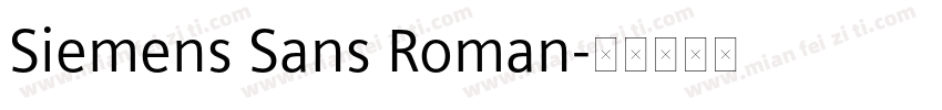 Siemens Sans Roman字体转换